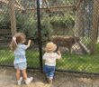 popcorn park zoo kids nj mom