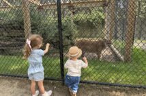 popcorn park zoo kids nj mom