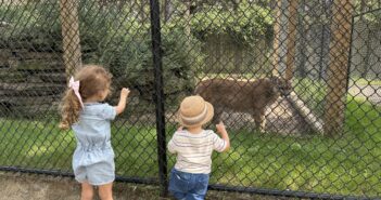 popcorn park zoo kids nj mom