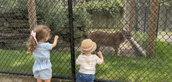 popcorn park zoo kids nj mom