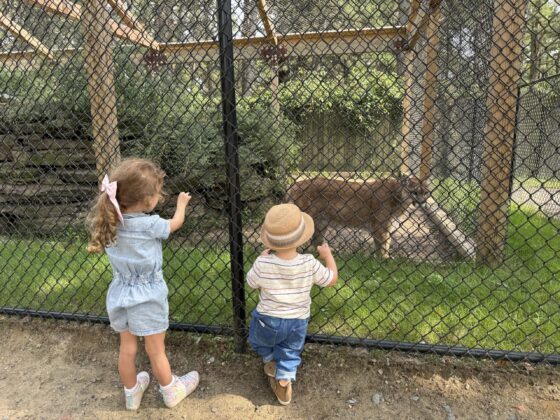 popcorn park zoo kids nj mom