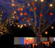 Drive through light shows in NJ skylands stadium