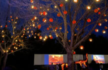 Drive through light shows in NJ skylands stadium