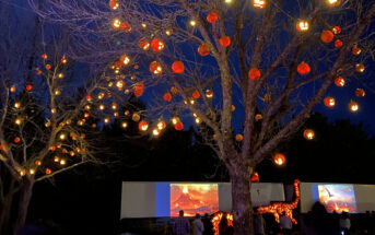 Drive through light shows in NJ skylands stadium