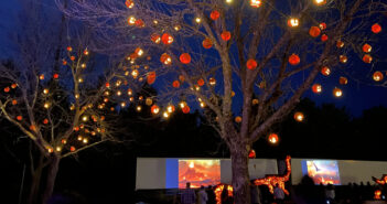 Drive through light shows in NJ skylands stadium