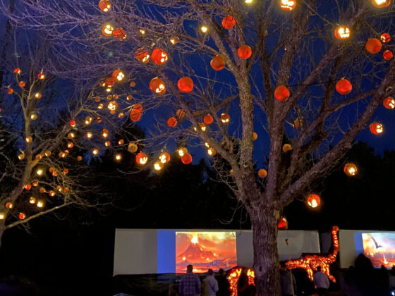 Drive through light shows in NJ skylands stadium