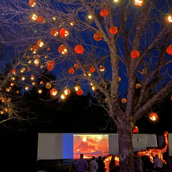 Drive through light shows in NJ skylands stadium