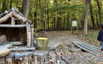 fairy trail in new jersey south mountain nj mom