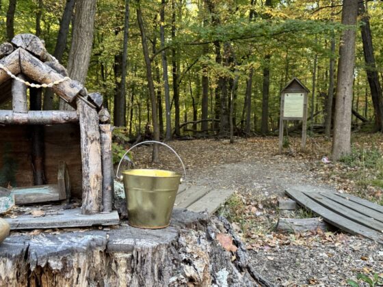 fairy trail in new jersey south mountain nj mom