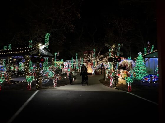 Thansksgiving-break-winterfest-digglerand-holiday-light-show-landscape-131