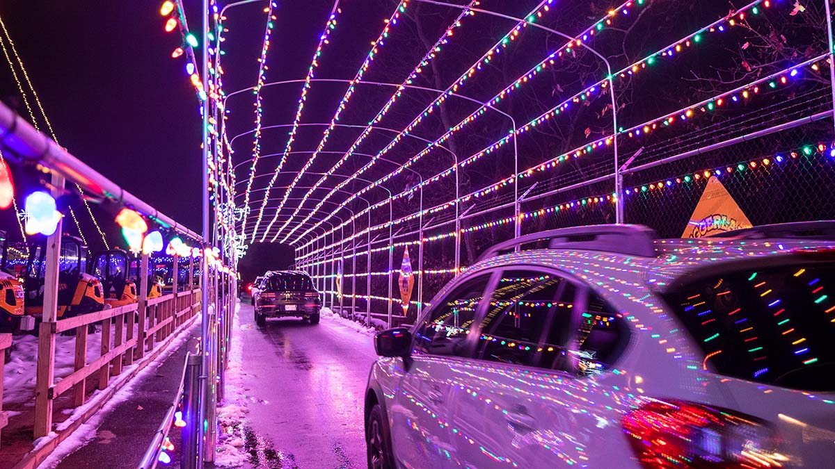 gift guide 2024 diggerlands nj mom holiday-light-show-vehicles-drive-through-tunnel-square