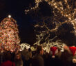 Christmas Tree Lightings in NJ