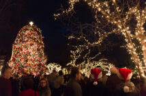 Christmas Tree Lightings in NJ