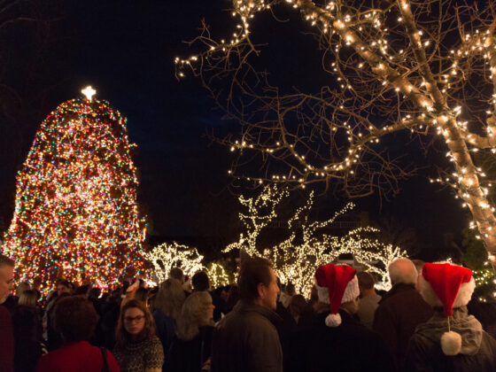 Christmas Tree Lightings in NJ