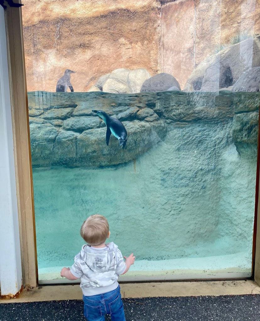 adventure aquarium Camden nj nj mom