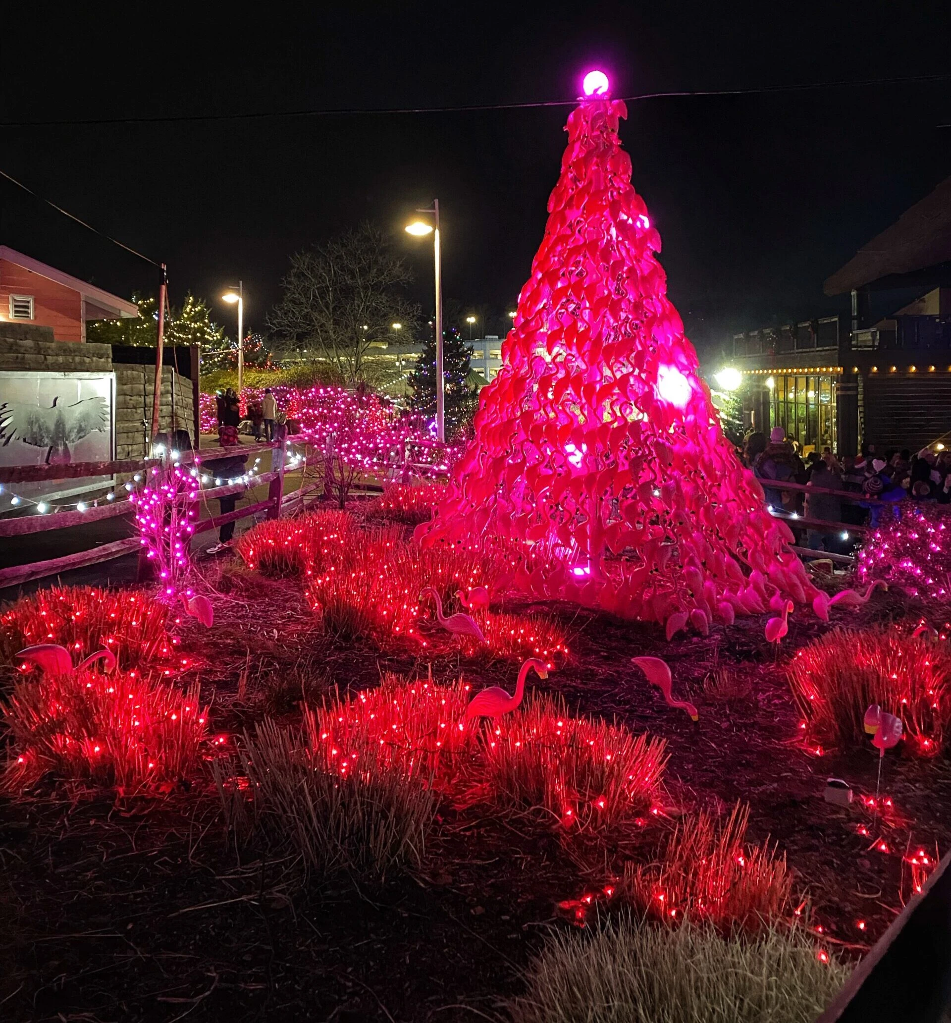 Holiday activities in nj turtle back nj mom