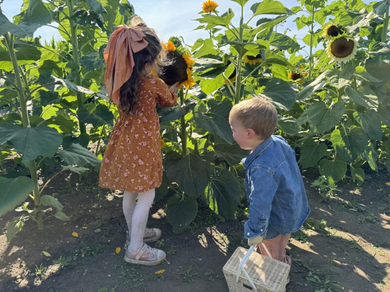 south jersey johnsons locust hall farm nj mom