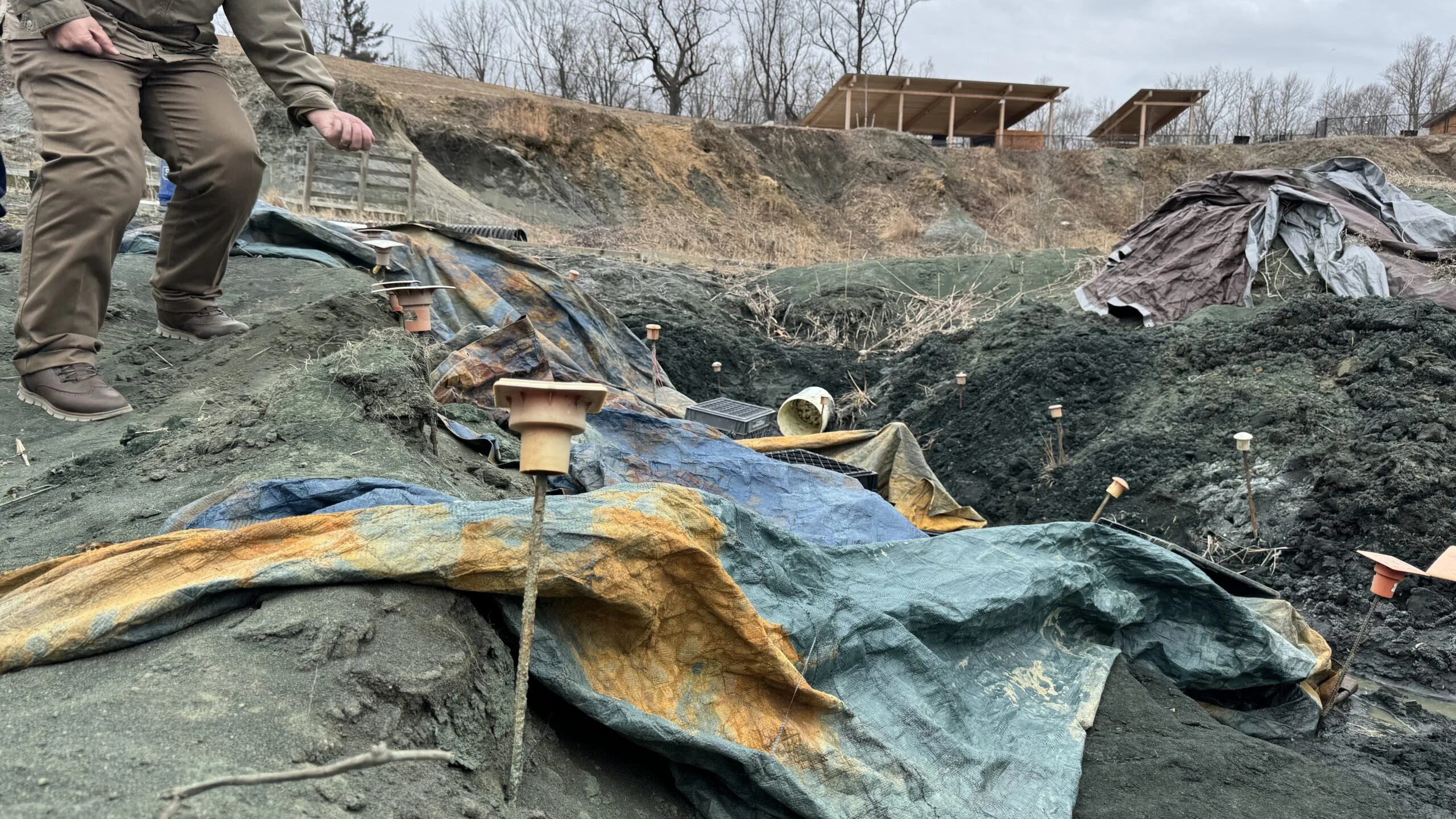Edelman Fossil Museum quarry nj mom