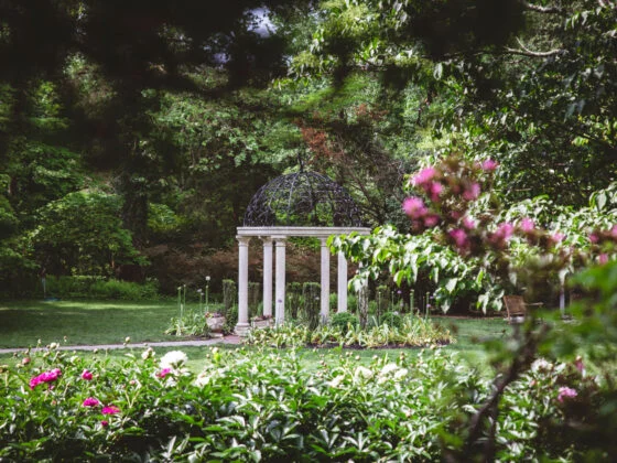 Sayen House & Gardens dome nj mom