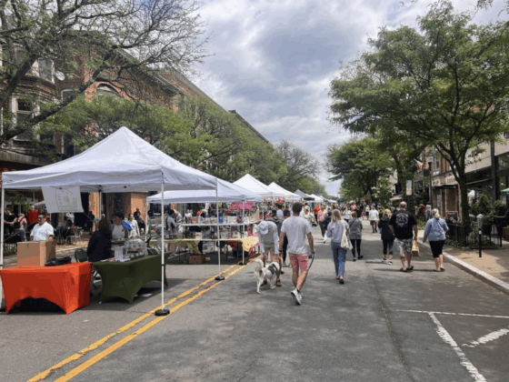 things to do in Somerville farmers market nj mom