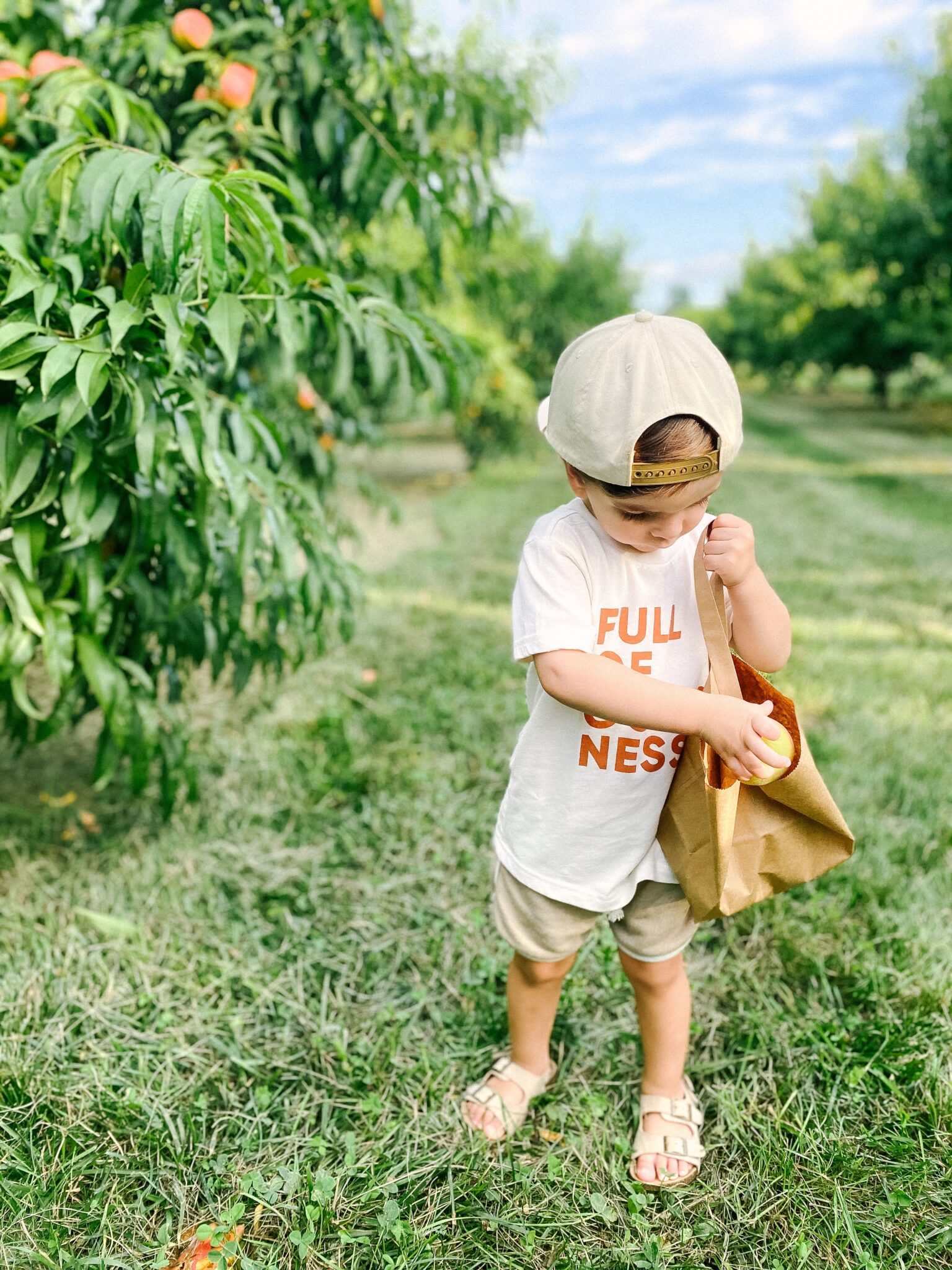 ohnsons Locust Hall Farm nj momboy picking peaches