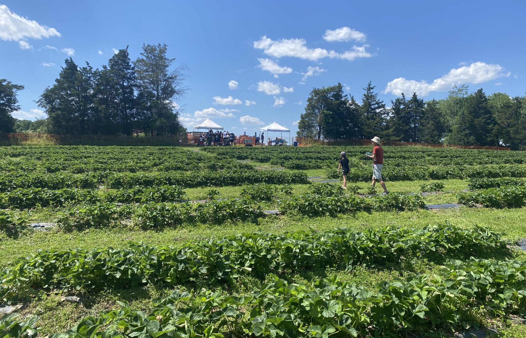 farms in nj Snyder's farm nj mom