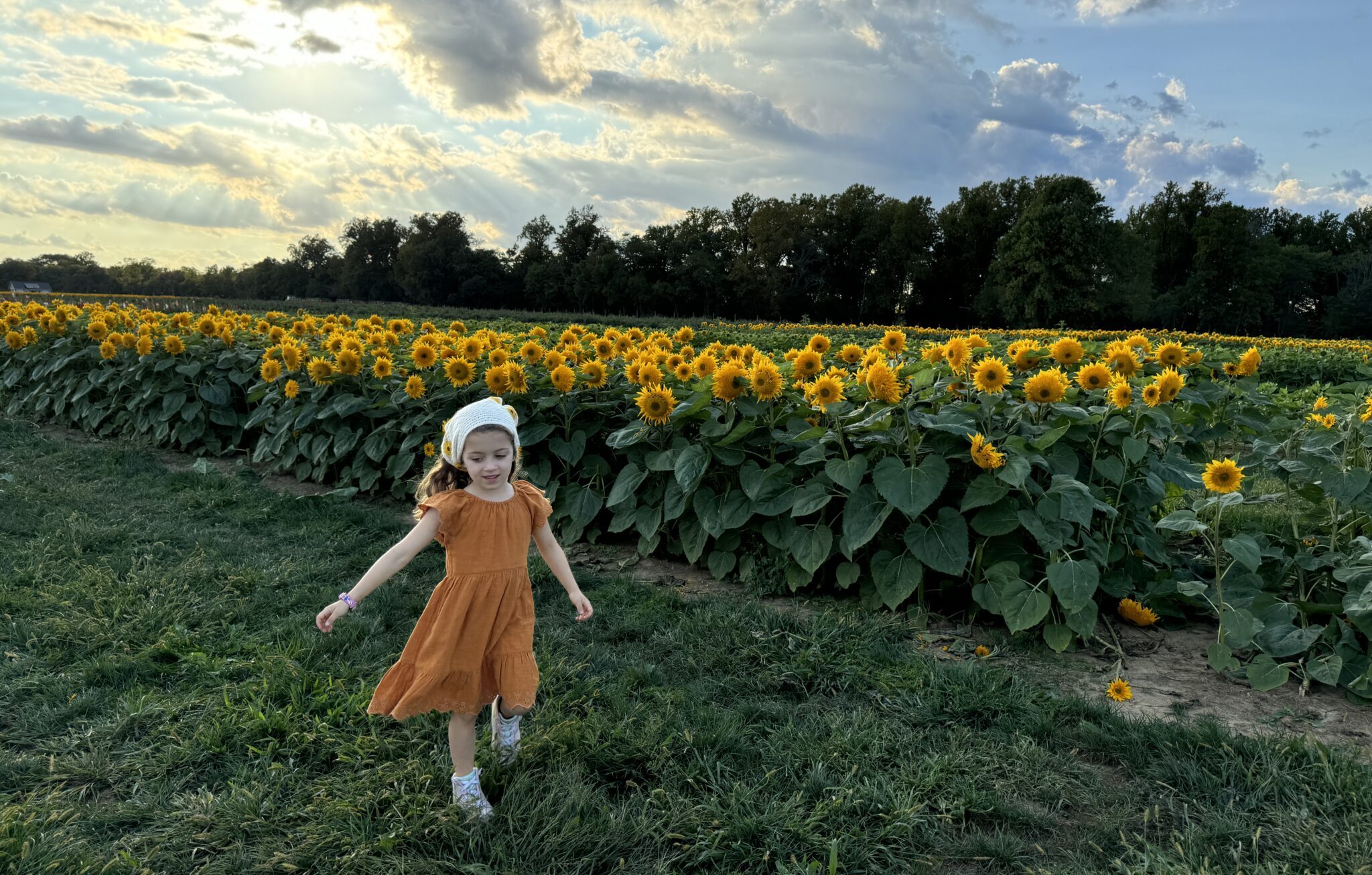 farms in nj holland ridge farms nj mom