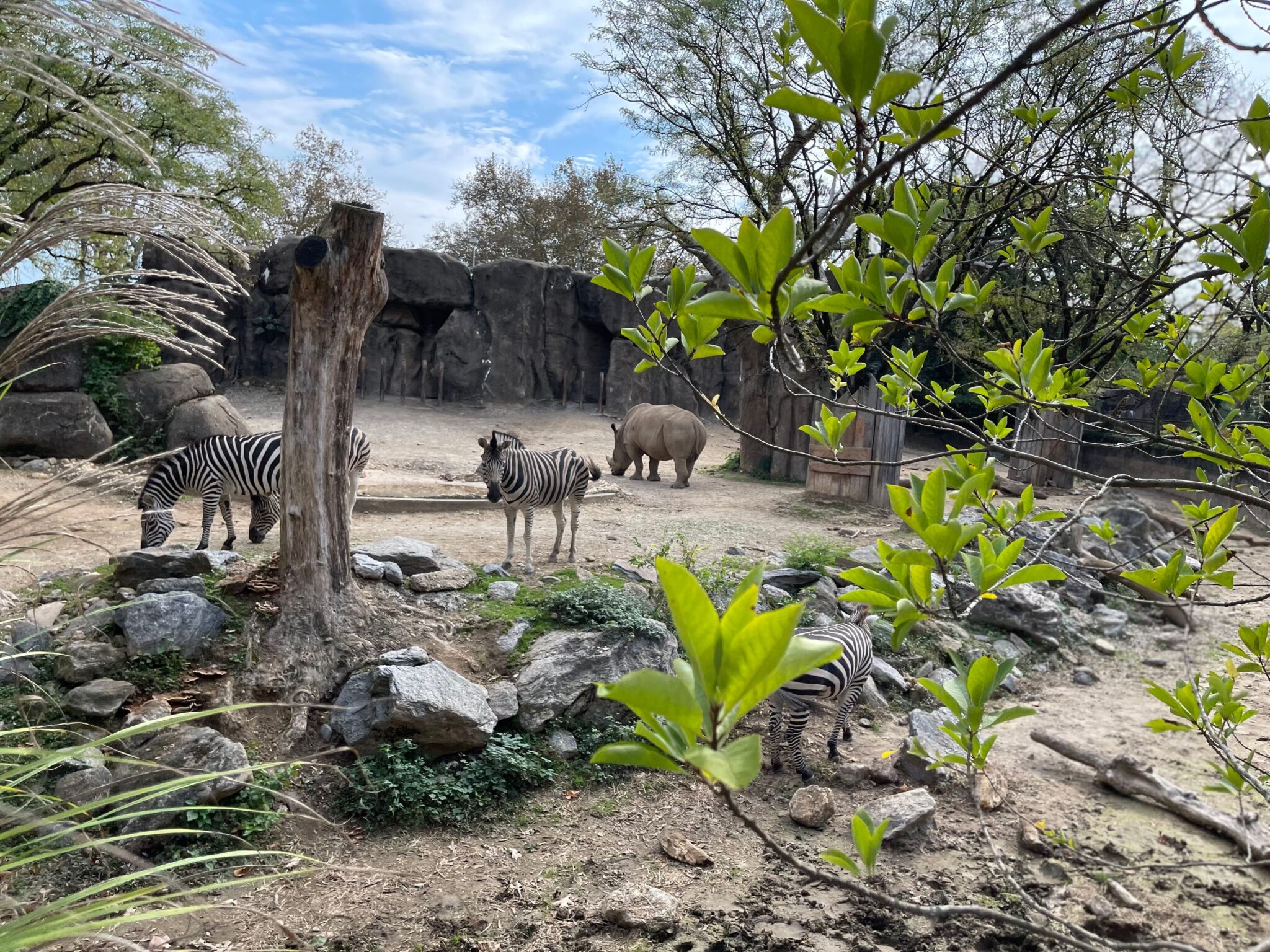 Philadelphia Zoo eat nj mom