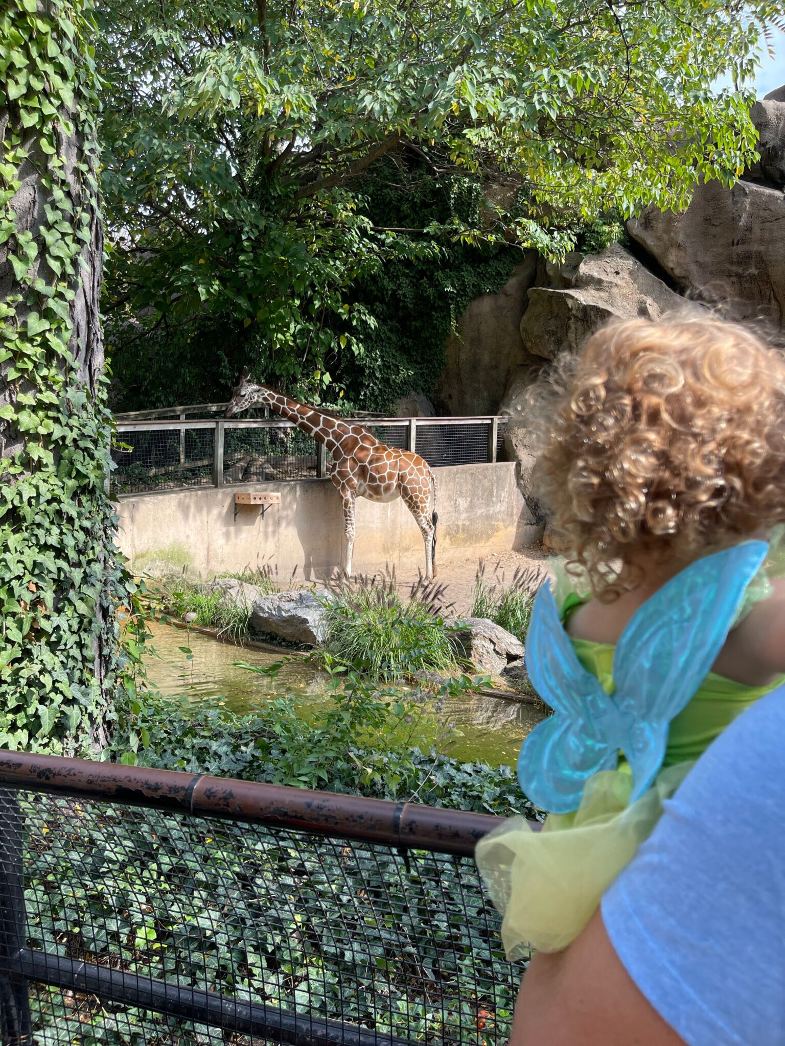 Philadelphia Zoo giraffe nj mom