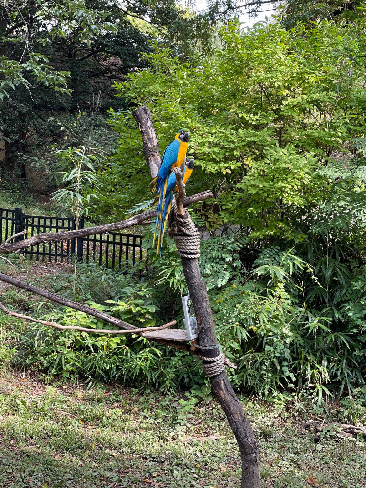 Philadelphia zoo bird nj mom