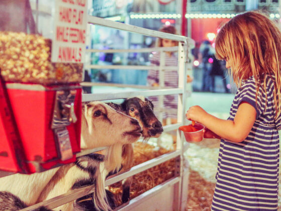 things to do this weekend NJ