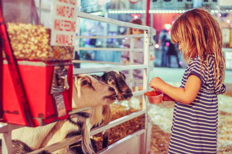 things to do this weekend NJ