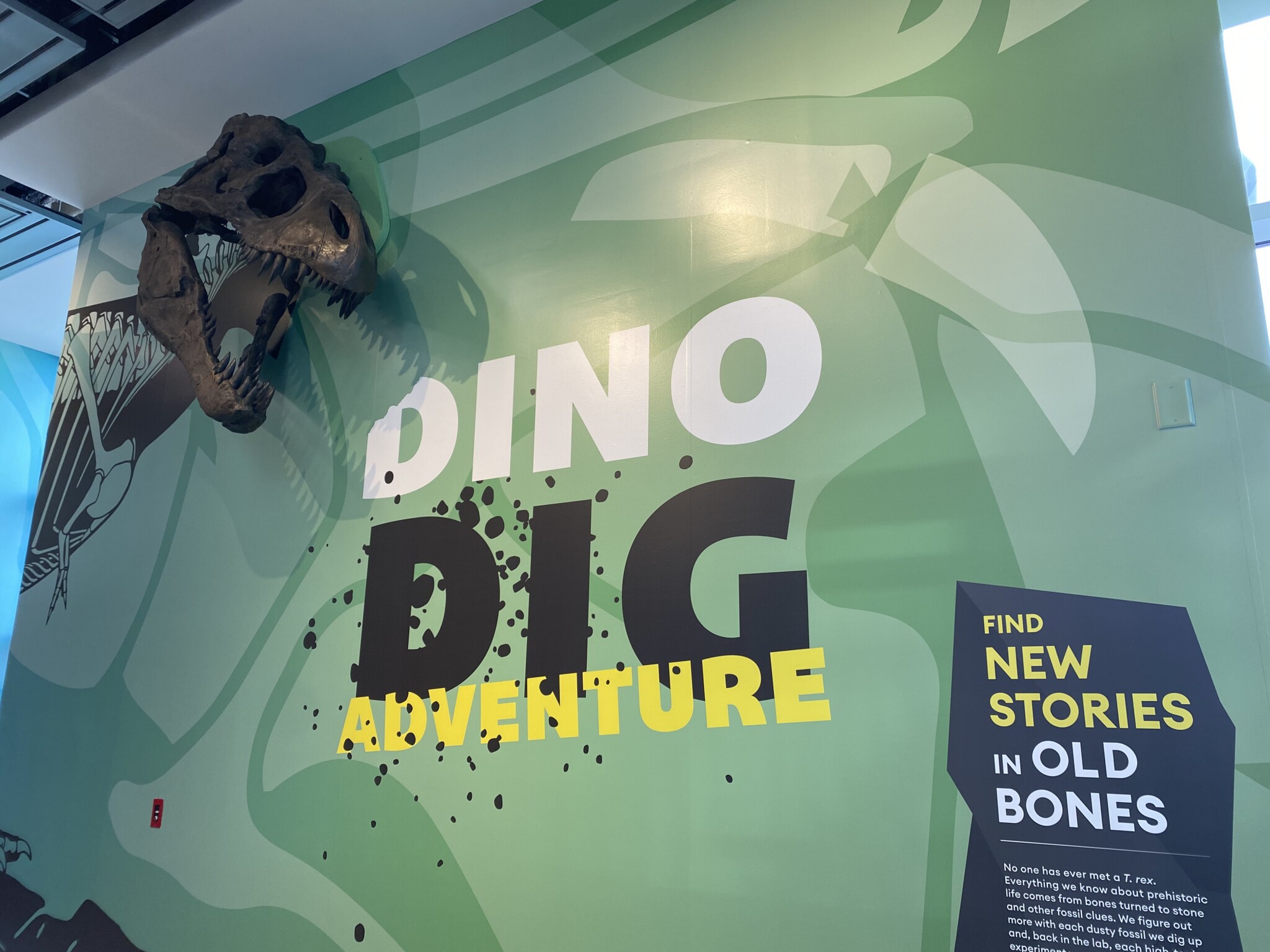 Liberty-Science-Center-dino-dig-bright-1024x768-1