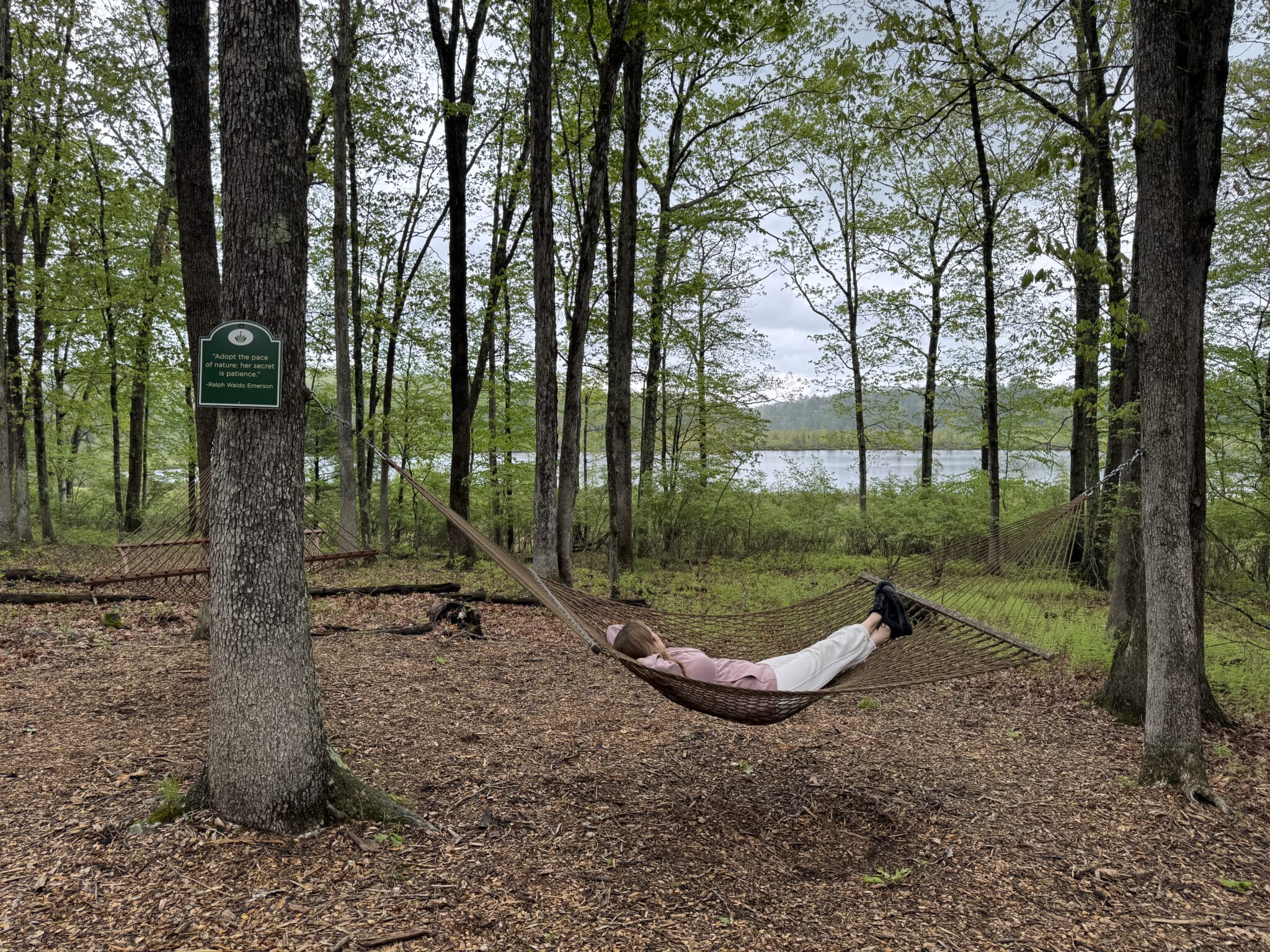 woodloch hammock n
