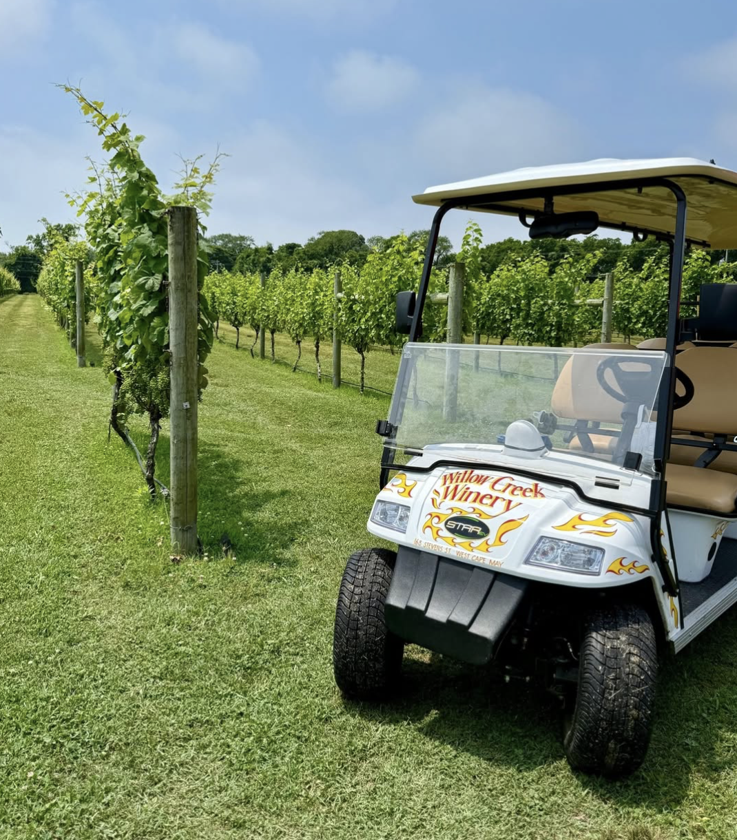 Willow Creek Winery cart nj mom