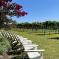 Willow Creek Winery vineyard nj mom