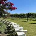 Willow Creek Winery vineyard nj mom