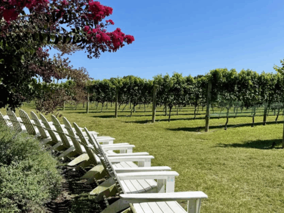 Willow Creek Winery vineyard nj mom