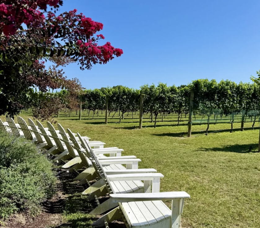 Willow Creek Winery vineyard nj mom
