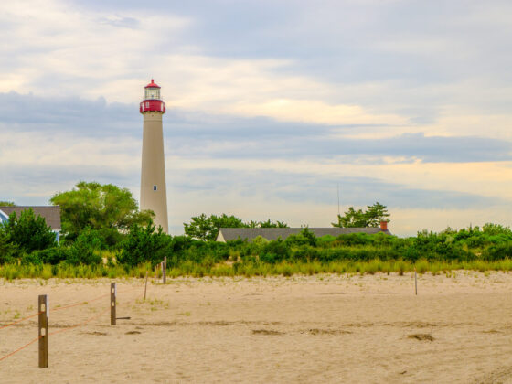 cape may point state park nj mom