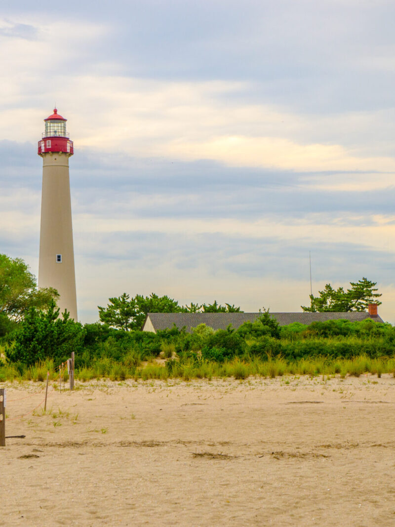 cape may point state park nj mom