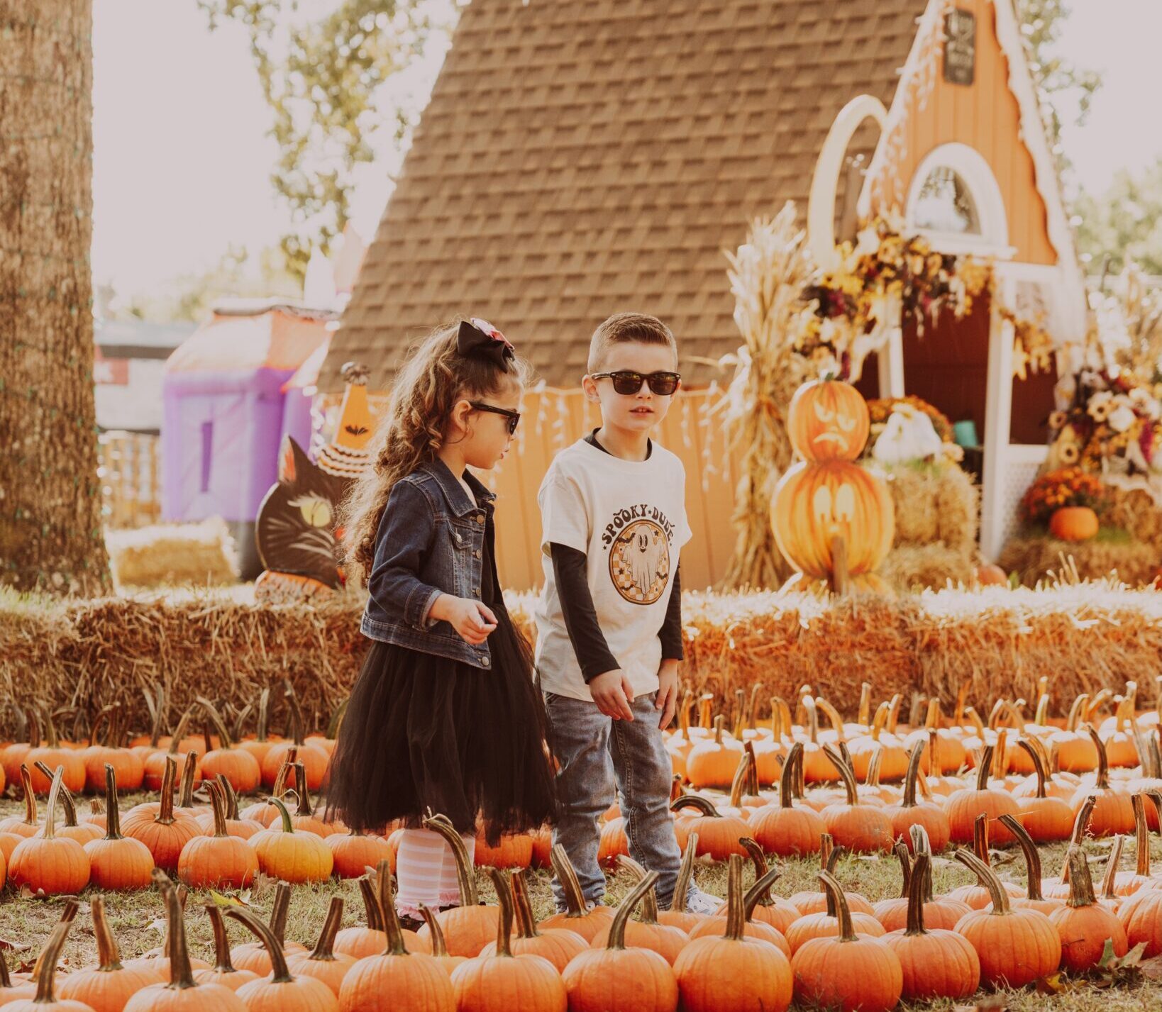 DiDonatosHalloween_2 (2)