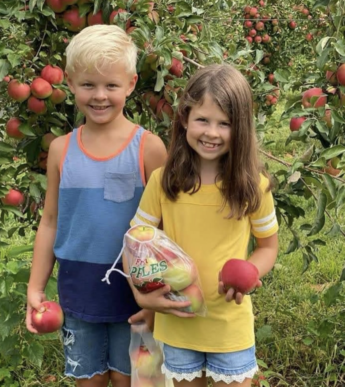 Von Thun Farms apple nj mom