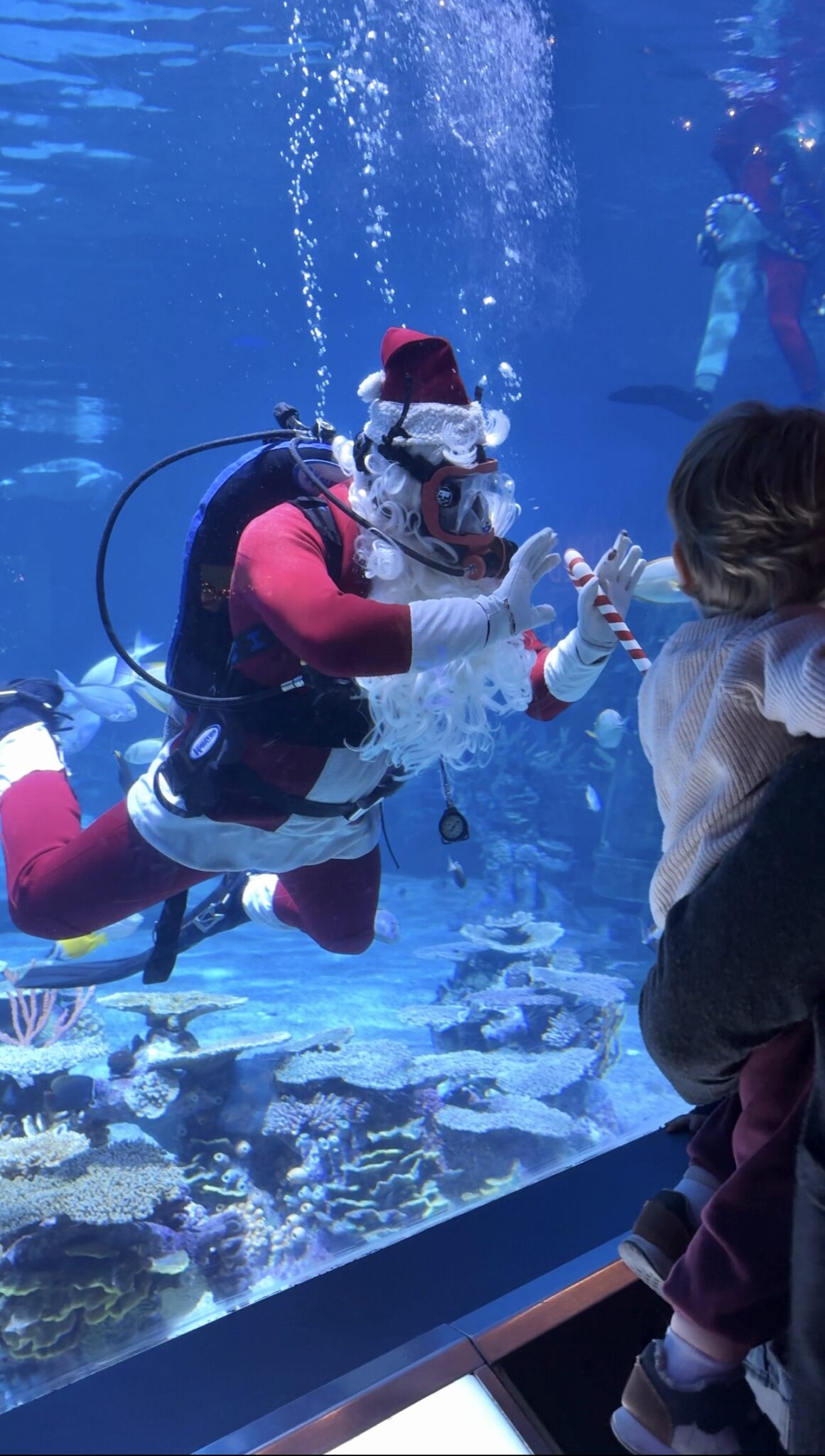 Adventure-Aquarium-Halloween-nj-mom