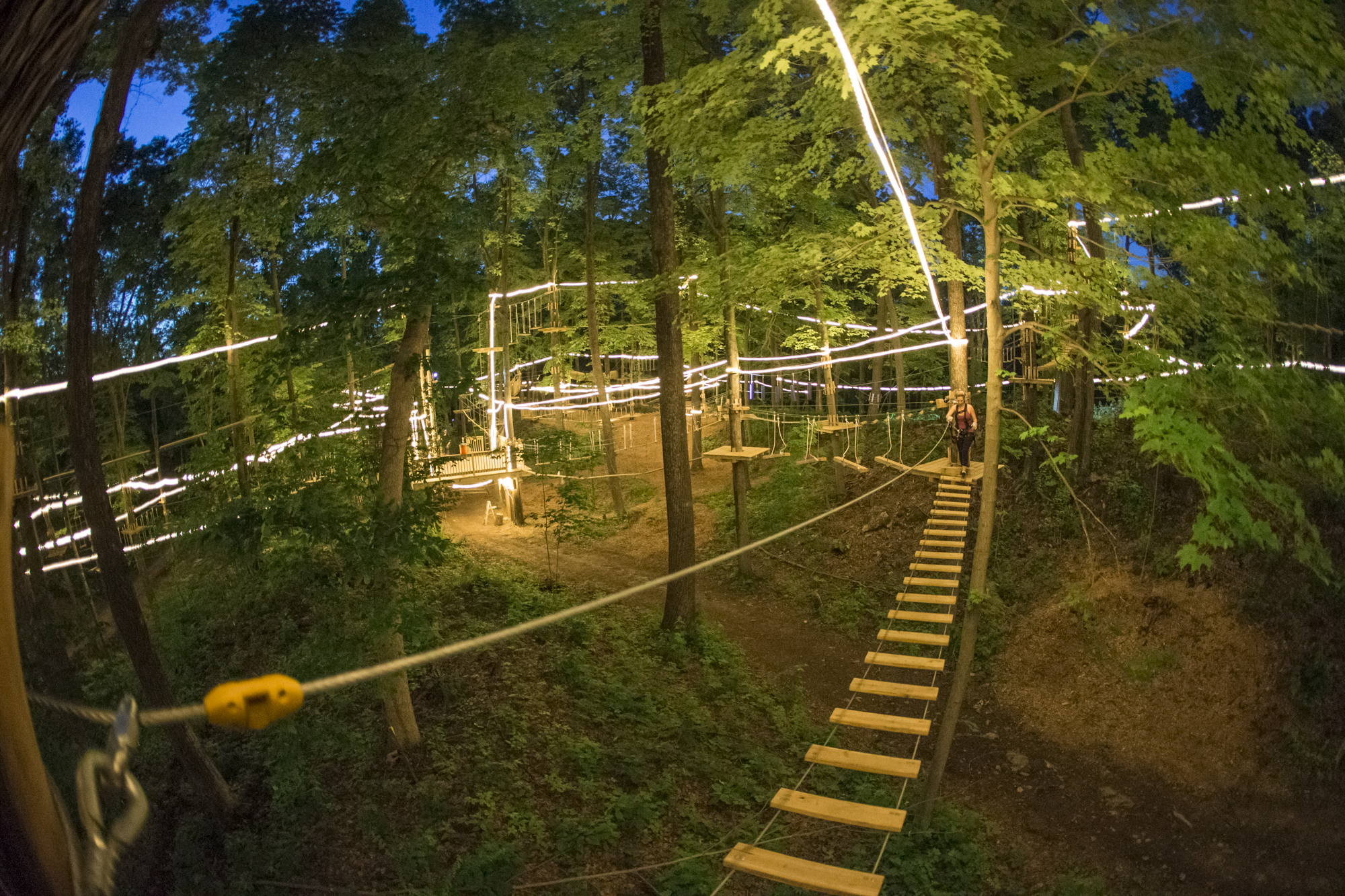 TreEscape_Night_0012