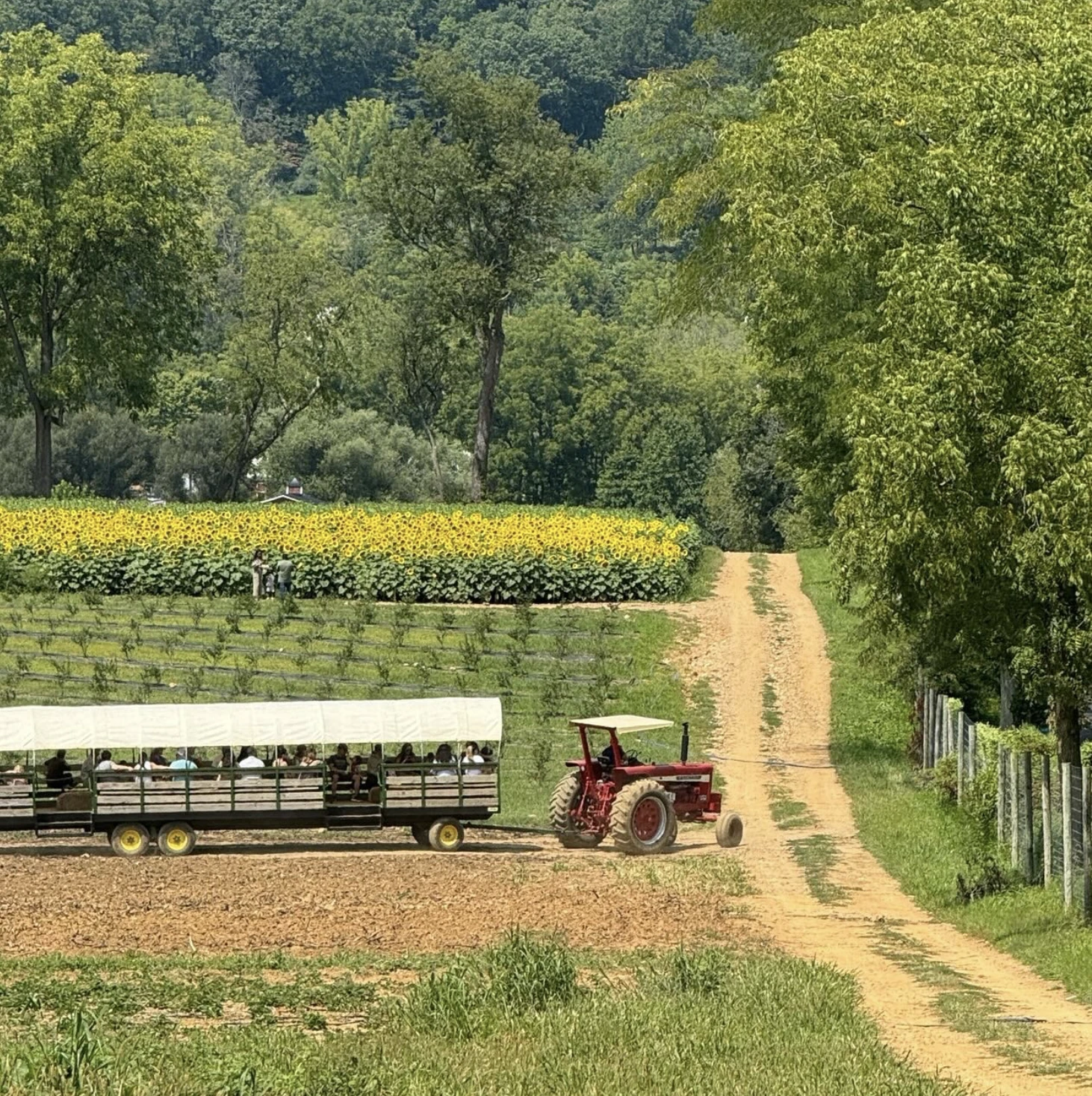 Von Thun Farm tractor nj mom