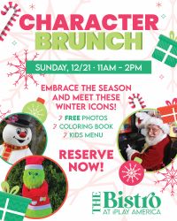 CharBrunch_WinterIcons_250x200