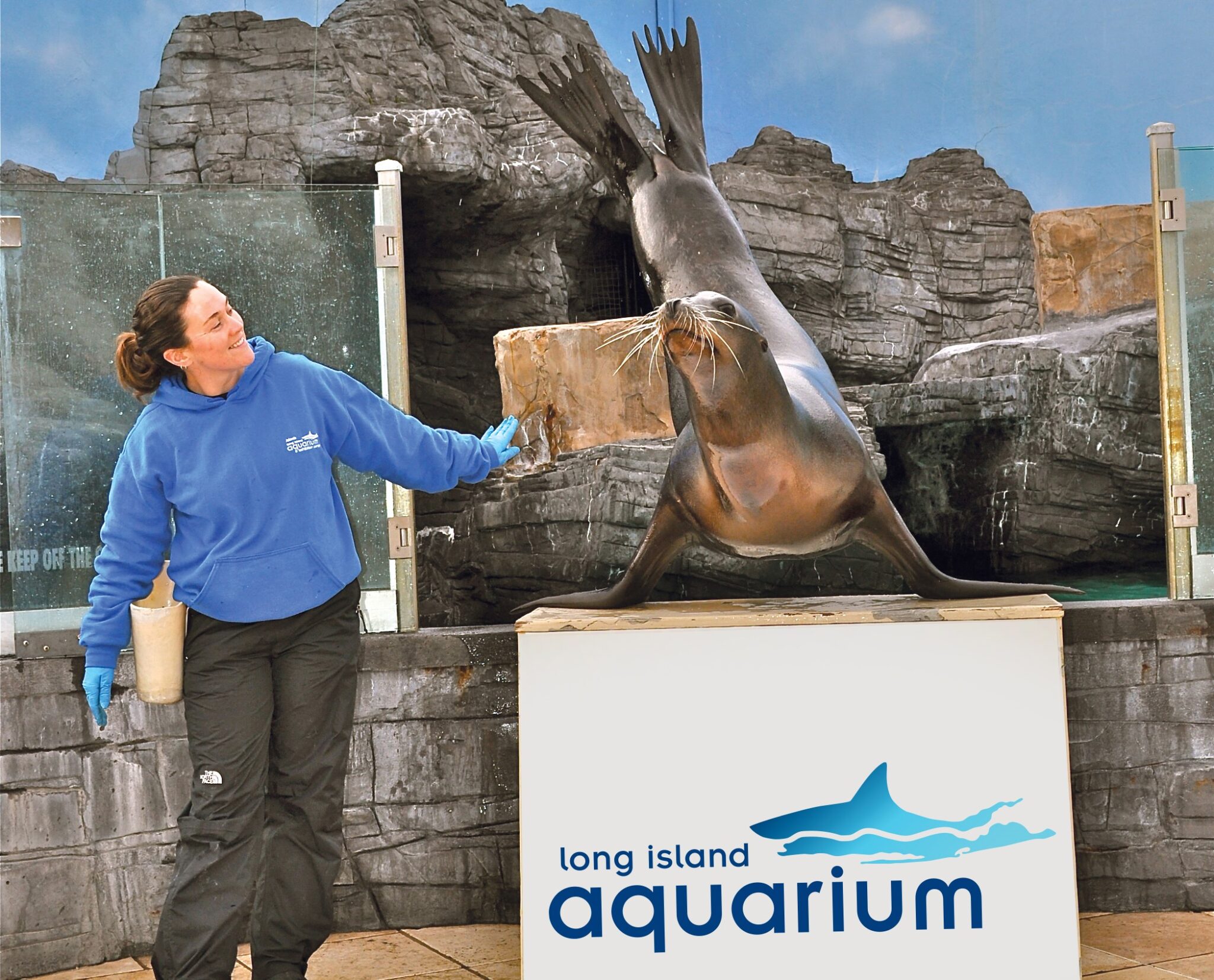 Sea Lion Show HZ long island aquarium ny mom