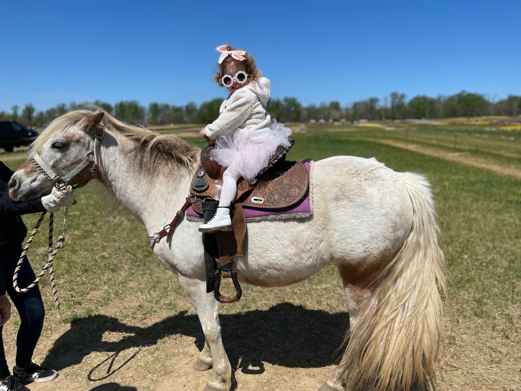 Holland Ridge horse nj mom