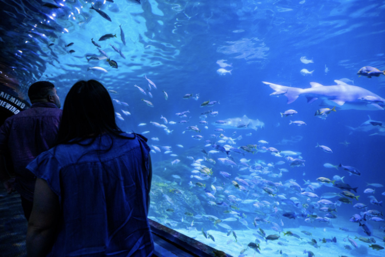 Screenshot 2026-02-04 at 9.14.45 AM